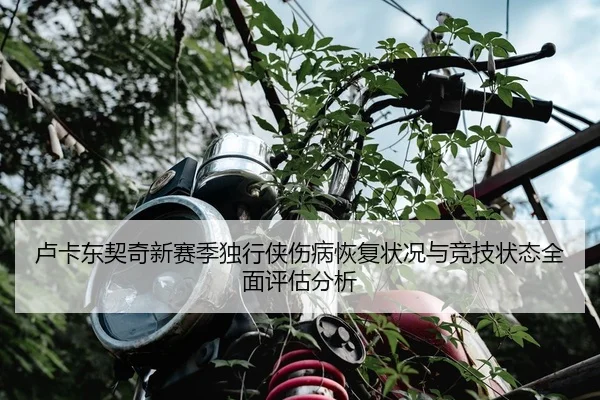 卢卡东契奇新赛季独行侠伤病恢复状况与竞技状态全面评估分析